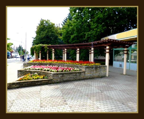 Matilda Apartman Apartment Hajduszoboszlo Room photo